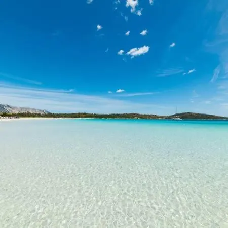 Fede House Olbiamare Apartman