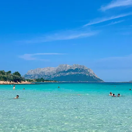 Fede House Olbiamare Apartman *