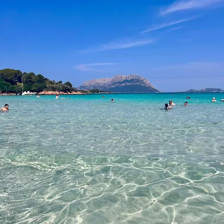 Fede House Olbiamare Olbia